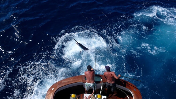 Big Game Fishing In Croatia On The Boat Super Cat