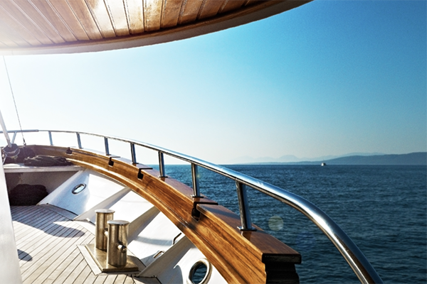 Deluxe Dalmatian Paradise