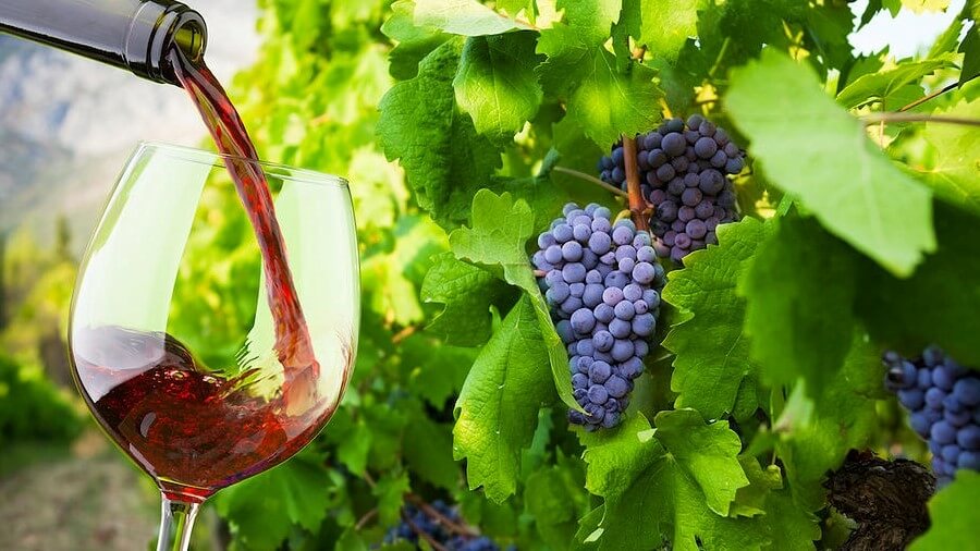 Dubrovnik Wine Cruise