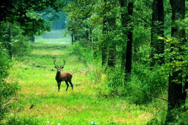 Hiking 5 National Parks Of Croatia
