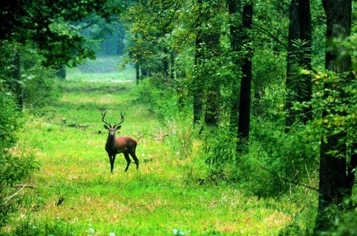 Hiking 5 National Parks Of Croatia