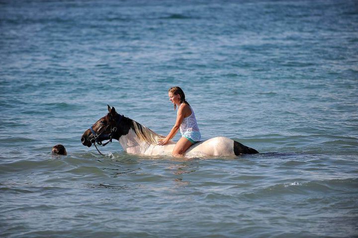 Horseback Riding Holiday 8 Days