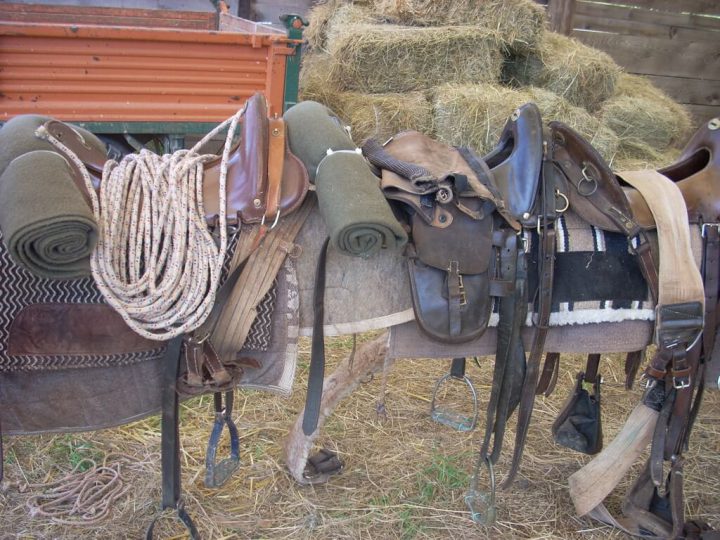 Horseback Riding Holiday 8 Days