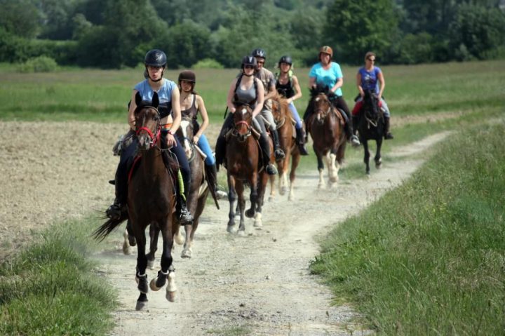 Horseback Riding Holiday 8 Days