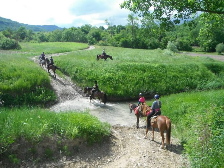 Horseback Riding Holiday 8 Days