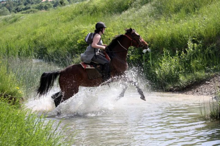 Horseback Riding Holiday 8 Days