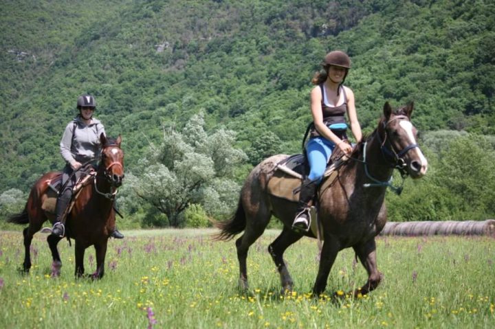 Horseback Riding Holiday 8 Days
