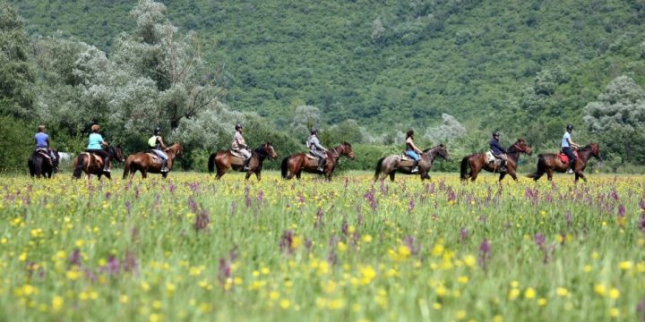 Horseback Riding Holiday 8 Days