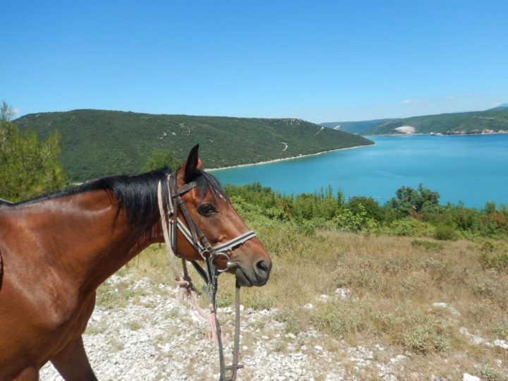 Horseback Riding Holiday 8 Days