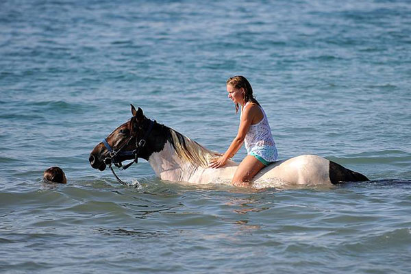 Horseback Riding Holiday 8 Days