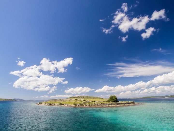 Nature And Culture Cruise