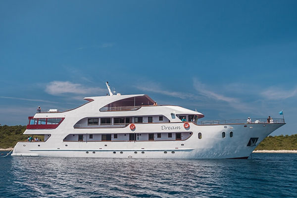 Premium Superior Dream