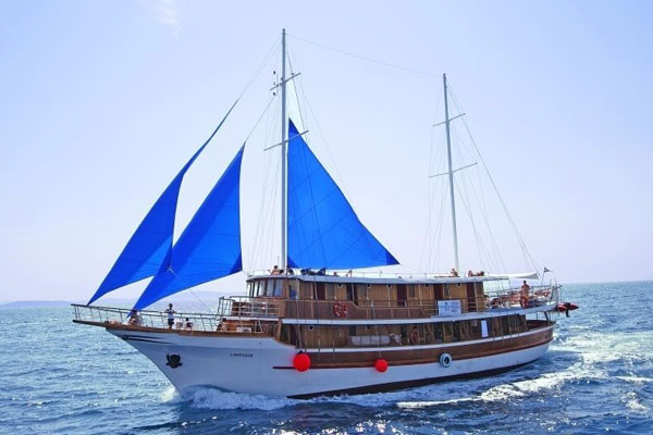 Traditional Ensuite Labrador