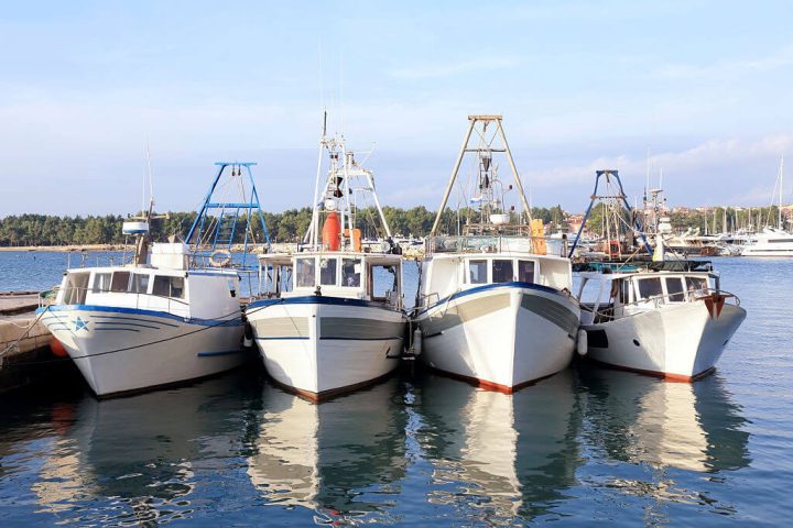 umag fishing boats