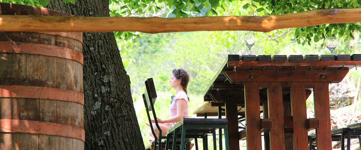 Yoga Adventure In Croatia 8 Days